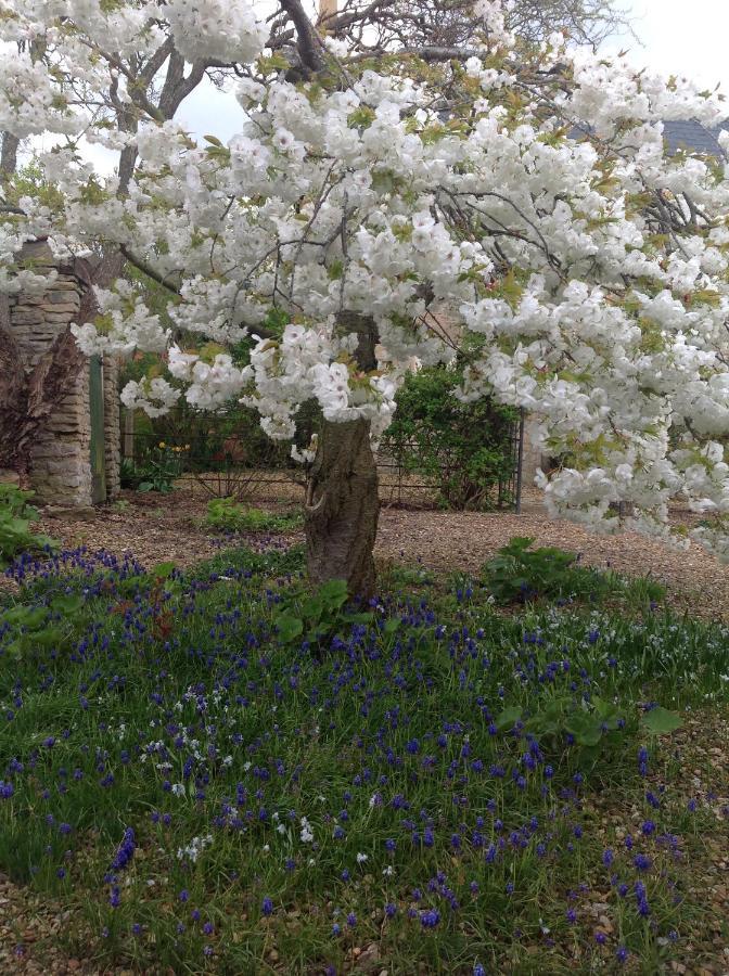 Orchard Cottage, Clematis Cottages, Stamford. Accessible Luxury Home. Exterior photo